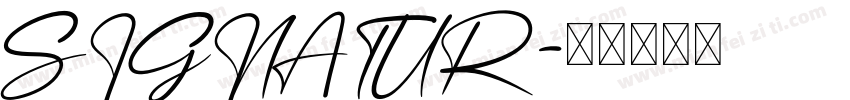 SIGNATUR字体转换