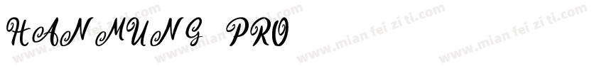 HANMUNG_PRO字体转换