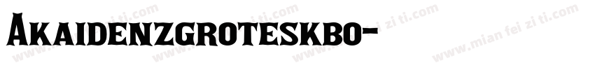Akaidenzgroteskbo字体转换
