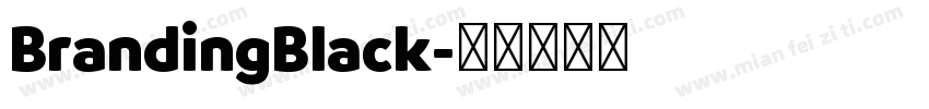 BrandingBlack字体转换