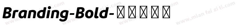 Branding-Bold字体转换