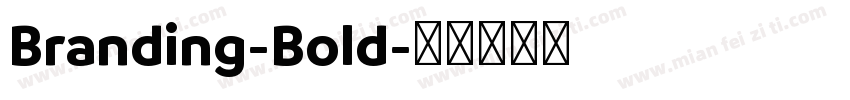 Branding-Bold字体转换