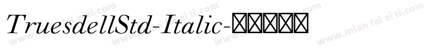 TruesdellStd-Italic字体转换