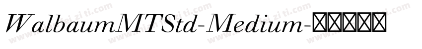 WalbaumMTStd-Medium字体转换