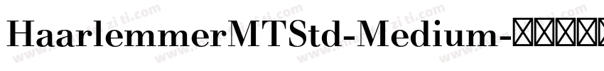 HaarlemmerMTStd-Medium字体转换