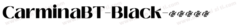 CarminaBT-Black字体转换