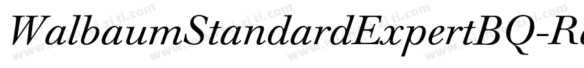 WalbaumStandardExpertBQ-Regular字体转换