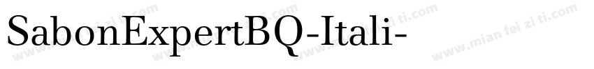 SabonExpertBQ-Itali字体转换