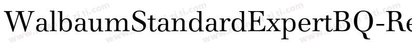 WalbaumStandardExpertBQ-Regular字体转换