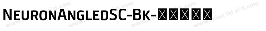NeuronAngledSC-Bk字体转换