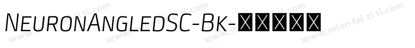 NeuronAngledSC-Bk字体转换