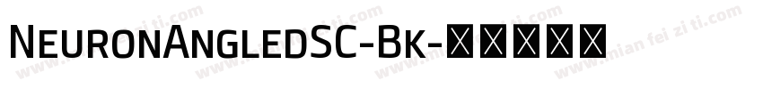 NeuronAngledSC-Bk字体转换