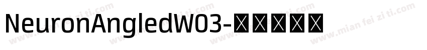 NeuronAngledW03字体转换
