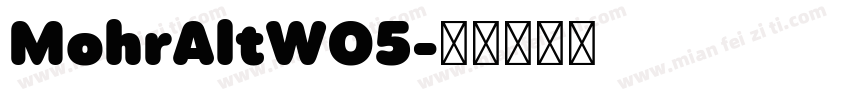 MohrAltW05字体转换