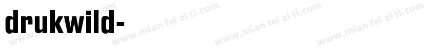 drukwild字体转换