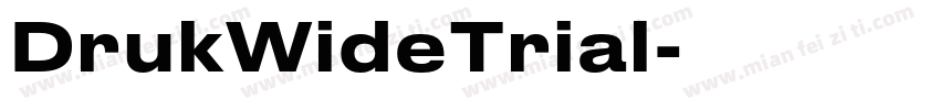 DrukWideTrial字体转换