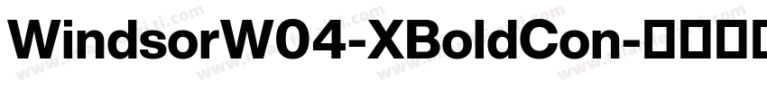 WindsorW04-XBoldCon字体转换