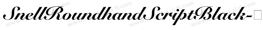SnellRoundhandScriptBlack字体转换