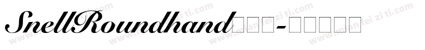 SnellRoundhand手机版字体转换