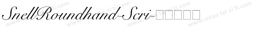 SnellRoundhand-Scri字体转换