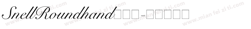 SnellRoundhand手机版字体转换
