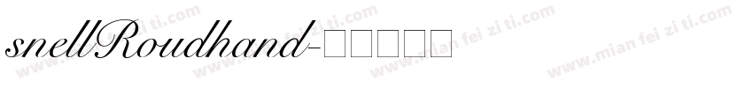 snellRoudhand字体转换