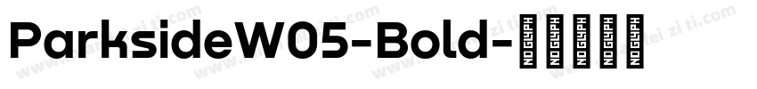 ParksideW05-Bold字体转换