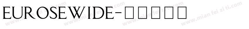 eurosewide字体转换