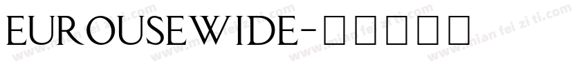 eurousewide字体转换