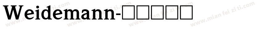 Weidemann字体转换
