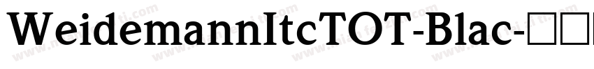WeidemannItcTOT-Blac字体转换