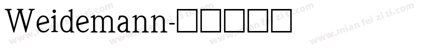 Weidemann字体转换
