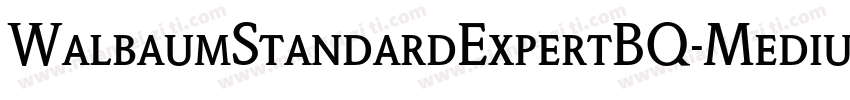 WalbaumStandardExpertBQ-Medium字体转换