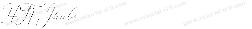 HFWhale字体转换