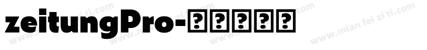 zeitungPro字体转换