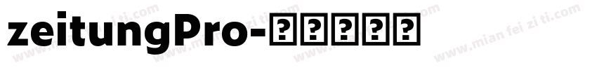 zeitungPro字体转换