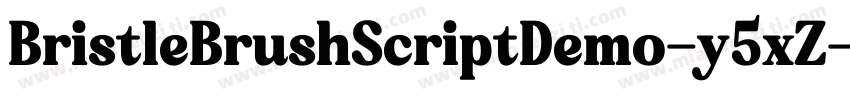 BristleBrushScriptDemo-y5xZ字体转换