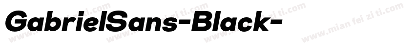GabrielSans-Black字体转换