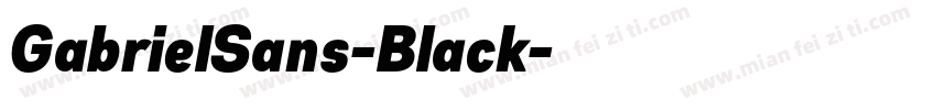 GabrielSans-Black字体转换