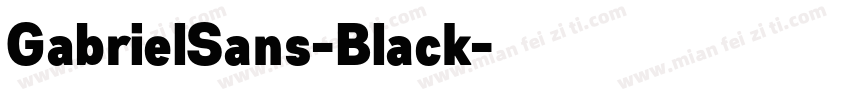 GabrielSans-Black字体转换
