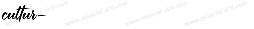 cultur字体转换