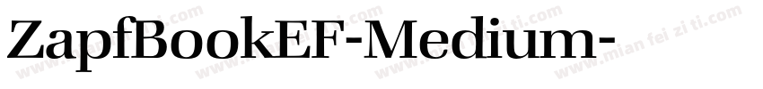 ZapfBookEF-Medium字体转换