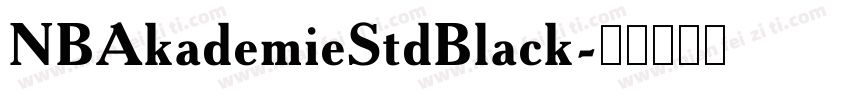 NBAkademieStdBlack字体转换