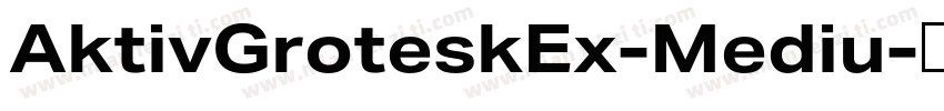 AktivGroteskEx-Mediu字体转换