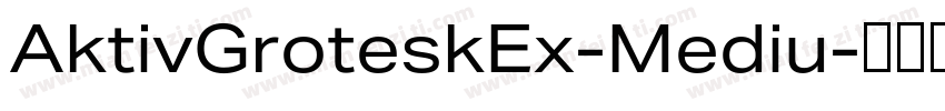 AktivGroteskEx-Mediu字体转换
