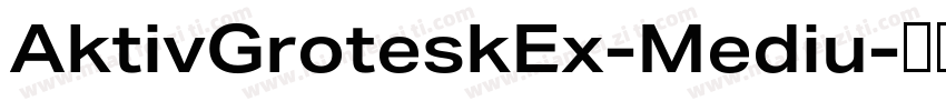 AktivGroteskEx-Mediu字体转换