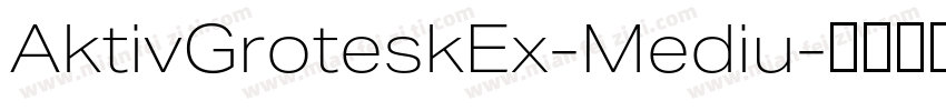 AktivGroteskEx-Mediu字体转换