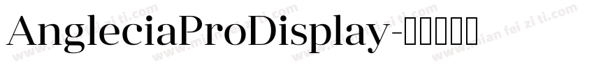 AngleciaProDisplay字体转换