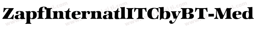 ZapfInternatlITCbyBT-MediumItal字体转换