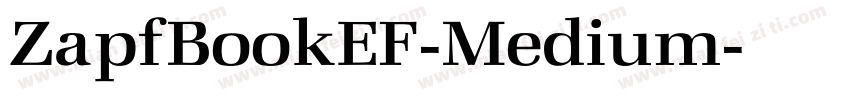 ZapfBookEF-Medium字体转换